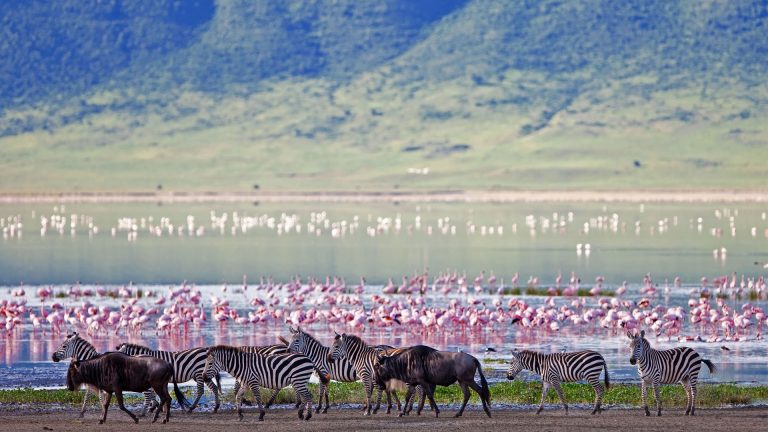 ABC